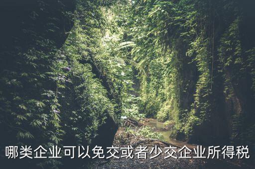 什么情況下企業(yè)可以減免稅收，哪類企業(yè)可以免交或者少交企業(yè)所得稅