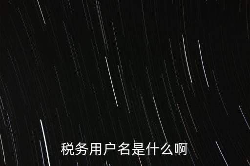 稅務(wù)用戶(hù)名是什么啊