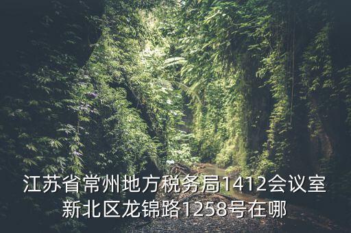 江蘇省常州地方稅務(wù)局1412會(huì)議室新北區(qū)龍錦路1258號(hào)在哪