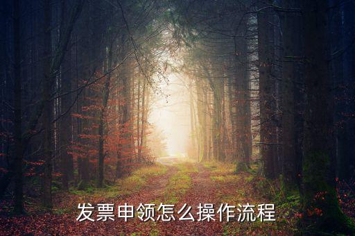 我想申請(qǐng)票種的流程是什么樣的，小規(guī)模申請(qǐng)專票的流程是什么