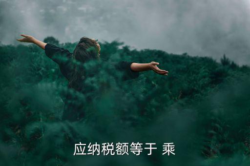 應(yīng)納稅額等于 乘