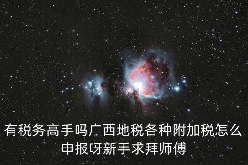 廣西地稅每個(gè)月要申報(bào)什么內(nèi)容，有稅務(wù)高手嗎廣西地稅各種附加稅怎么申報(bào)呀新手求拜師傅