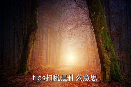 國稅tips系統(tǒng)指什么意思，電子對賬單上摘要一欄寫有tips是什么意思