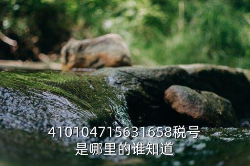 河南省的稅號是什么意思，410104715631658稅號是哪里的誰知道