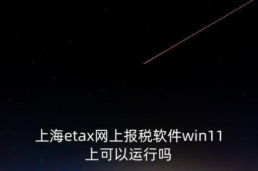 上海網上報稅什么軟件，上海etax網上報稅軟件win11上可以運行嗎