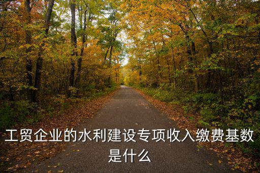 工貿(mào)企業(yè)的水利建設(shè)專項(xiàng)收入繳費(fèi)基數(shù)是什么