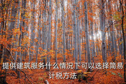 提供建筑服務(wù)什么情況下可以選擇簡(jiǎn)易計(jì)稅方法