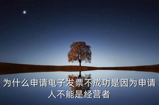 發(fā)票網(wǎng)上申領(lǐng)失敗什么原因，電子發(fā)票網(wǎng)上申領(lǐng)結(jié)果是2