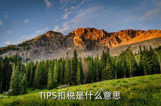 什么叫tips扣款，tips扣款和大廳扣款區(qū)別