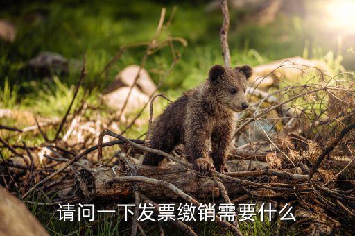 發(fā)票繳銷要需要帶什么，去國稅注銷發(fā)票需要帶什么呢