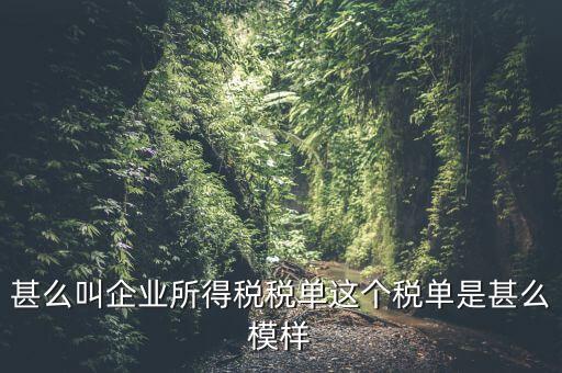 企業(yè)所得稅稅單是什么，稅單是什么怎樣提供稅單