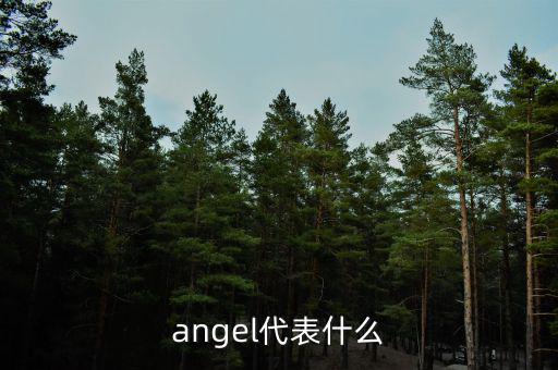 實(shí)體化管理什么意思，angel代表什么