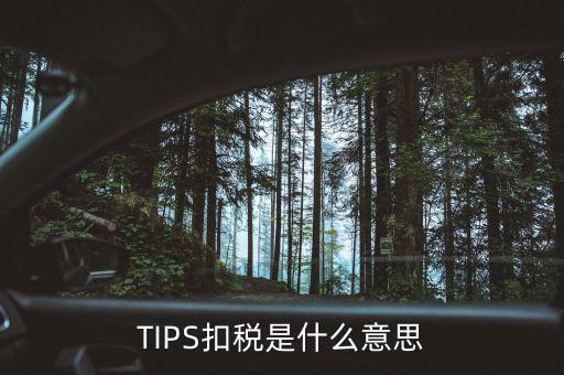 稅務(wù)tips是什么意思，tips扣稅是什么意思