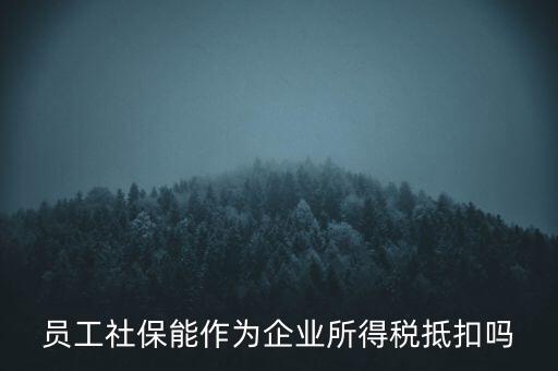 企業(yè)社?？梢缘质裁炊悾瑔T工社保能作為企業(yè)所得稅抵扣嗎