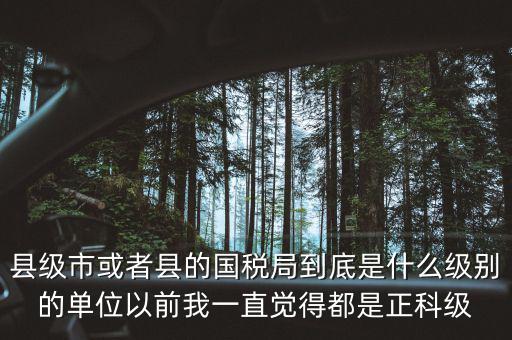 縣國稅局辦稅服務(wù)廳主任是什么級(jí)別，縣地稅局辦公室主任是什么行政級(jí)別