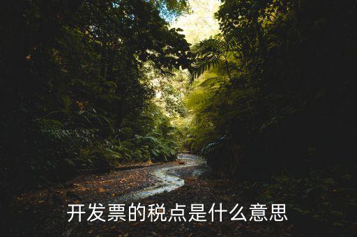 開(kāi)票加稅點(diǎn)是什么意思，加稅點(diǎn)什么意思舉個(gè)例子