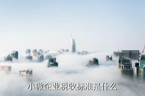 什么是企業(yè)稅收標(biāo)準(zhǔn)是什么，公司的稅收是按什么標(biāo)準(zhǔn)收稅的