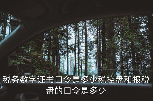 國稅證書口令是什么，我想問下國家稅務網(wǎng)上申報點擊安全登錄時出現(xiàn)的用戶口令是什么