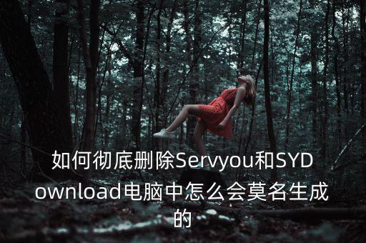 Servyou是什么文件夾，怎么刪除這個稅友軟件每次開機就自動運行而且不知道他的文件