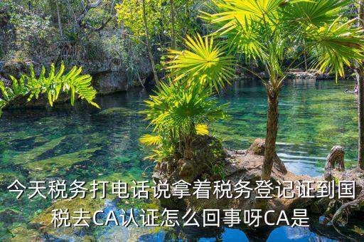 電子稅務(wù)局什么是ca登錄，網(wǎng)上報(bào)稅CA驗(yàn)證系統(tǒng)是甚么