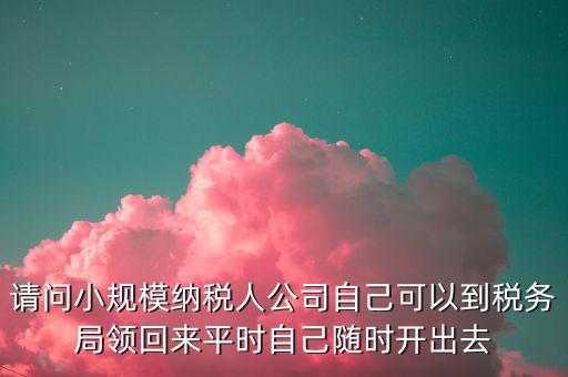 請問小規(guī)模納稅人公司自己可以到稅務局領(lǐng)回來平時自己隨時開出去