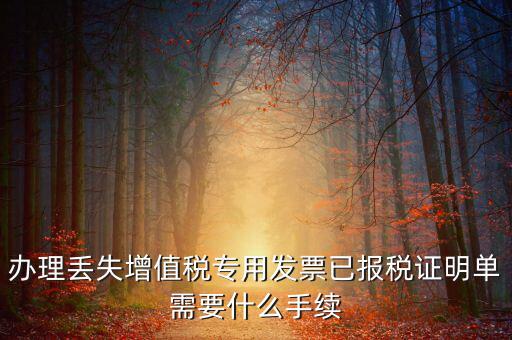 辦理丟失增值稅專用發(fā)票已報稅證明單需要什么手續(xù)