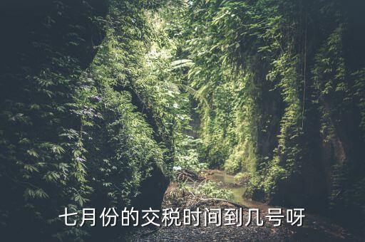 福建地稅7月報稅到什么時候，請問7月份國稅地稅的征期截止到哪天