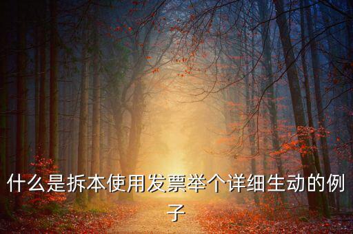 什么是拆本使用發(fā)票舉個詳細生動的例子