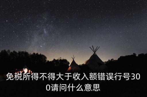 免稅所得不得大于收入額錯誤行號300請問什么意思