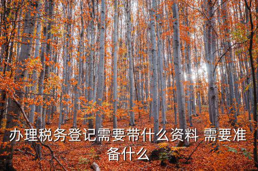 辦理稅務(wù)登記需要帶什么資料 需要準備什么