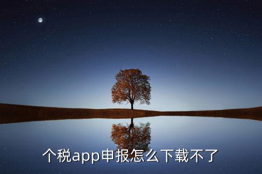 個稅app申報(bào)怎么下載不了