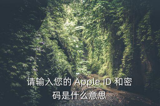 查詢個稅 密碼是輸入什么，請輸入您的 Apple ID 和密碼是什么意思