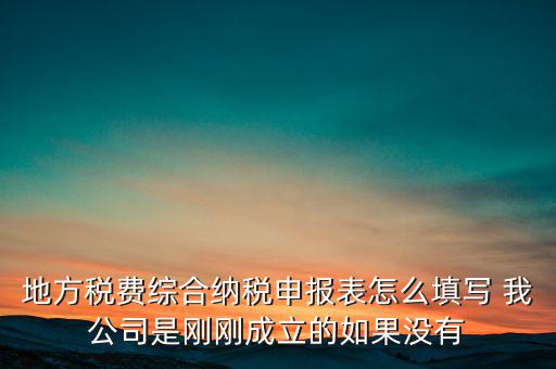 地稅不開票需填什么表，地方稅費綜合納稅申報表怎么填寫 我公司是剛剛成立的如果沒有