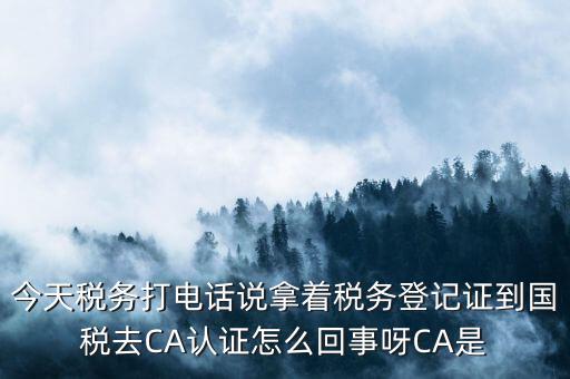 今天稅務(wù)打電話說拿著稅務(wù)登記證到國稅去CA認(rèn)證怎么回事呀CA是