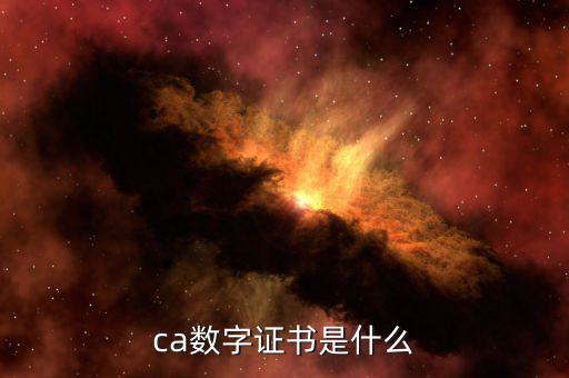 ca數(shù)字證書是什么