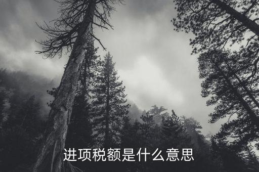 進(jìn)項(xiàng)稅額是什么意思