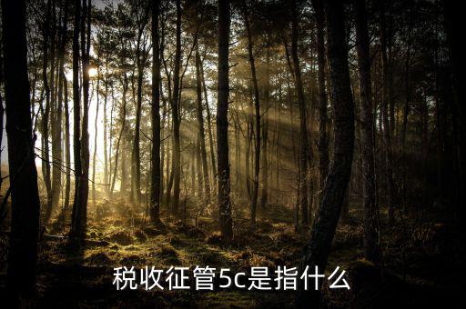 稅收征管5c是指什么