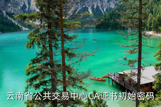 ca證書的原始密碼是什么，云南省公共交易中心CA證書初始密碼