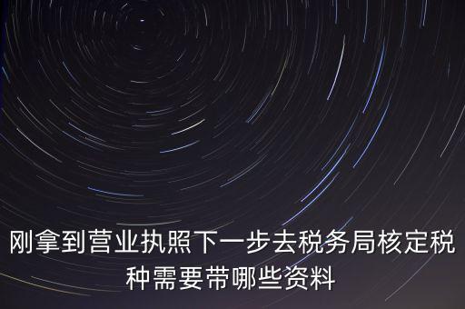 湖北國稅增加稅種需要帶什么資料，企業(yè)報(bào)稅種需要帶什么資料