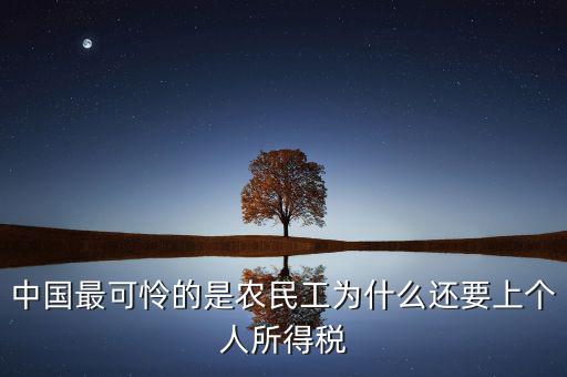 中國最可憐的是農民工為什么還要上個人所得稅