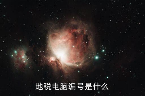 地稅電腦編號(hào)是什么