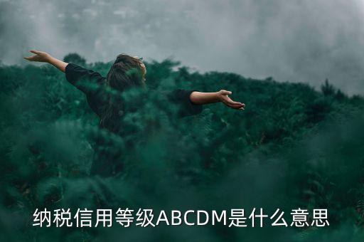 納稅信用等級(jí)ABCDM是什么意思