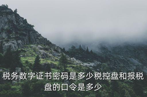 國稅申報ca默認密碼是什么意思，國家稅務總局網(wǎng)上辦稅服務廳初始密碼是什么