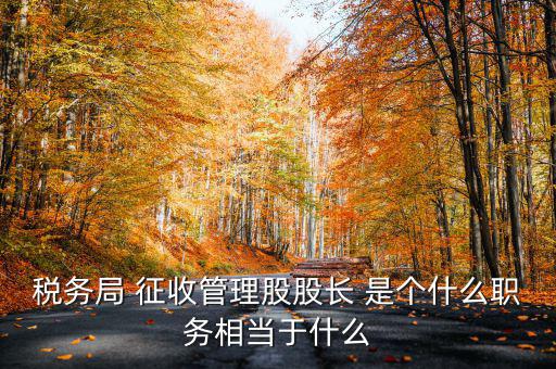 稅務(wù)局 征收管理股股長 是個什么職務(wù)相當(dāng)于什么