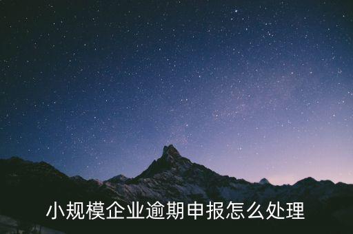 小規(guī)模企業(yè)逾期申報怎么處理