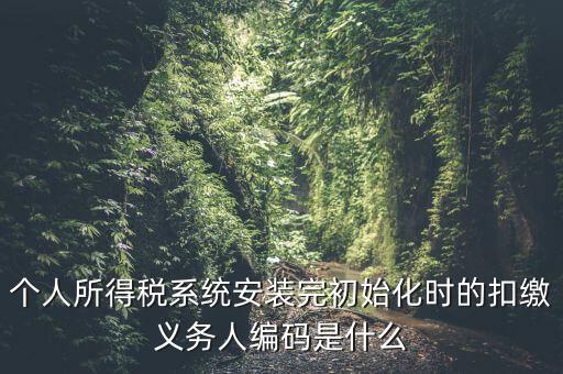 個(gè)人所得稅系統(tǒng)安裝完初始化時(shí)的扣繳義務(wù)人編碼是什么