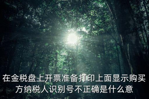 在金稅盤上開票準(zhǔn)備打印上面顯示購買方納稅人識別號不正確是什么意