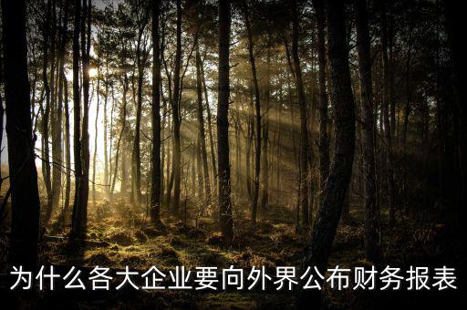 為什么要報送財務(wù)報表，為什么要編財務(wù)報表