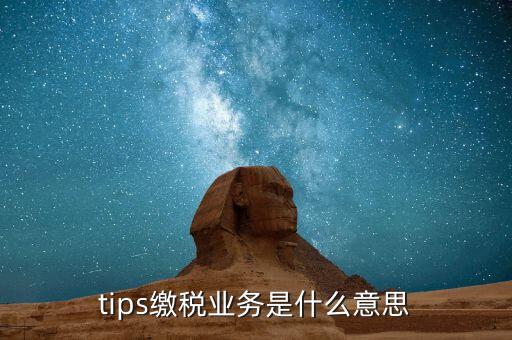 地稅tips繳款是什么意思，tips扣稅是什么意思