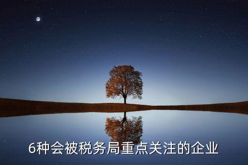 6種會(huì)被稅務(wù)局重點(diǎn)關(guān)注的企業(yè)